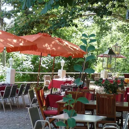 Restaurant Le Torrent Hotel Santo-Pietro-di-Venaco