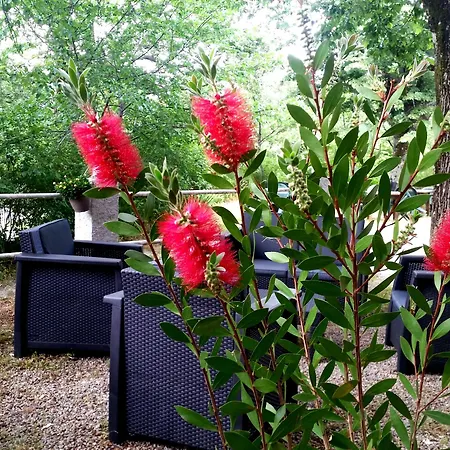 Restaurant Le Torrent Hotel