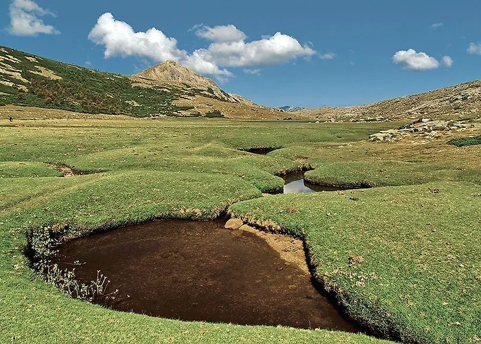 酒店 Restaurant Le Torrent 2*